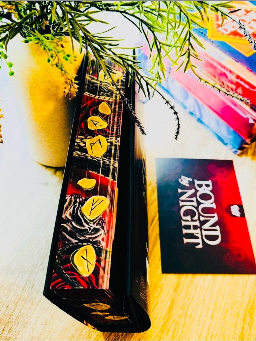 Fairyloot Exclusive Edition The Assassin’s Way by J. M. Kearl